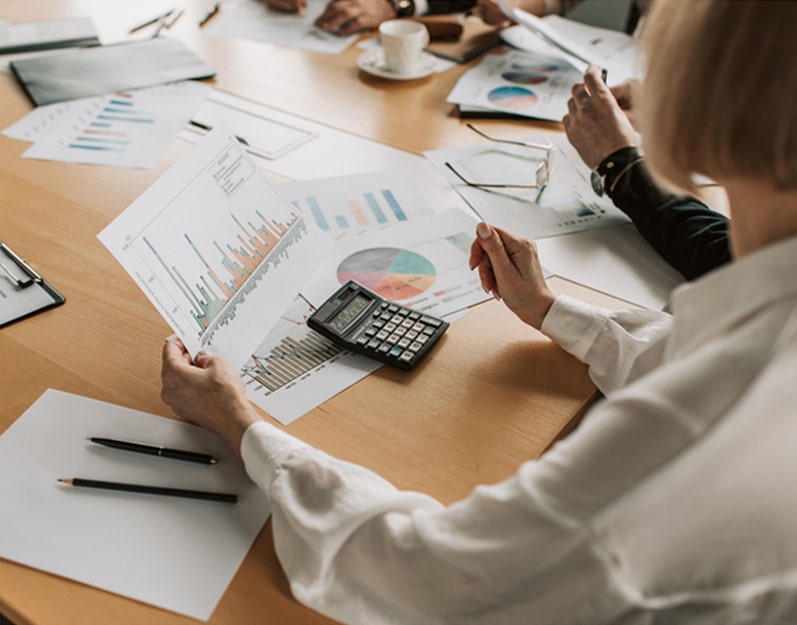 Official Auditor Reviewer